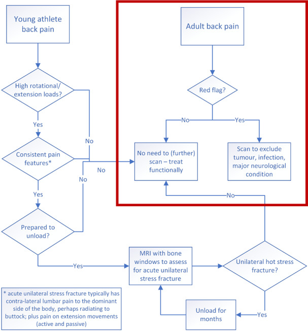 Management of lumbar bone stress injury in cricket fast bowlers and other athletes.