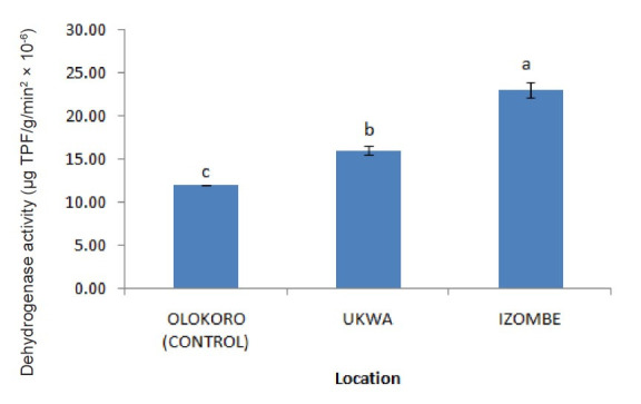 Soil Enzymes and Antioxidants Activities of Edible Vegetables Grown in Soils Polluted by Gas Flaring.