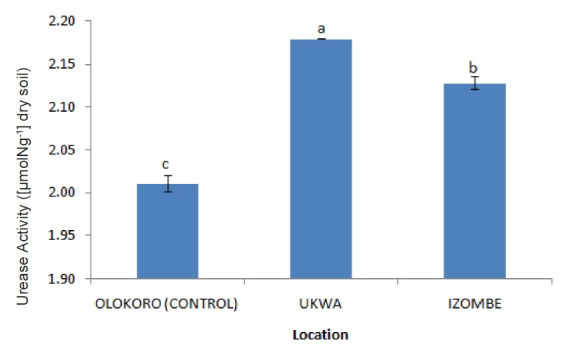 Soil Enzymes and Antioxidants Activities of Edible Vegetables Grown in Soils Polluted by Gas Flaring.