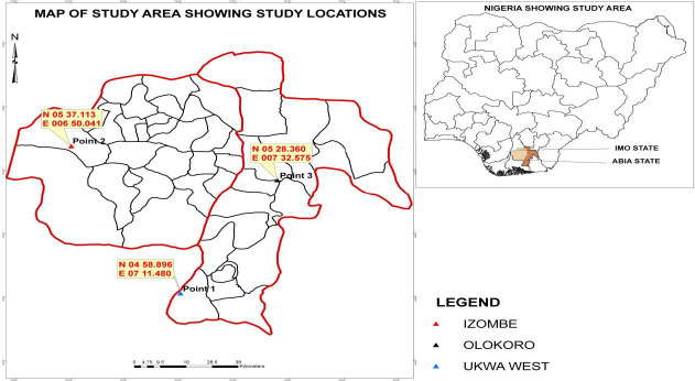 Soil Enzymes and Antioxidants Activities of Edible Vegetables Grown in Soils Polluted by Gas Flaring.