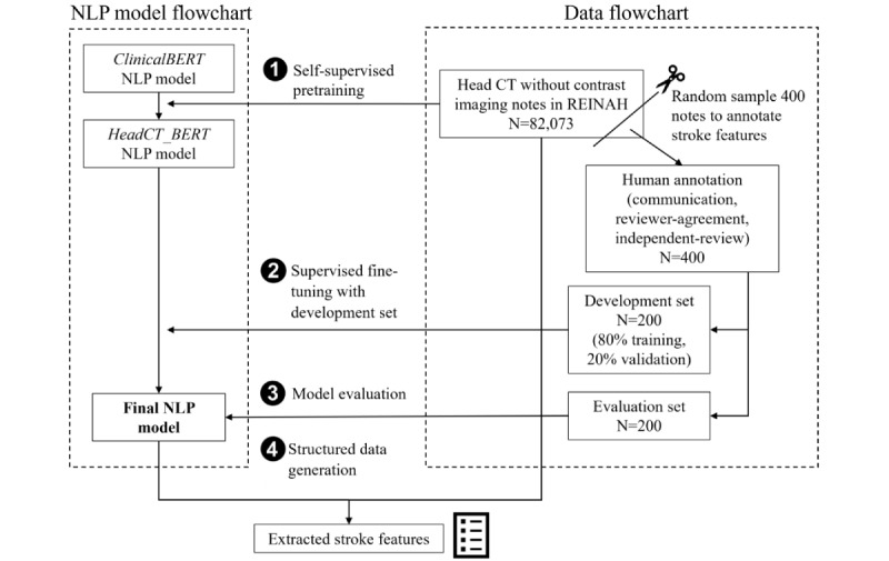 Extraction of Radiological Characteristics From Free-Text Imaging Reports Using Natural Language Processing Among Patients With Ischemic and Hemorrhagic Stroke: Algorithm Development and Validation.