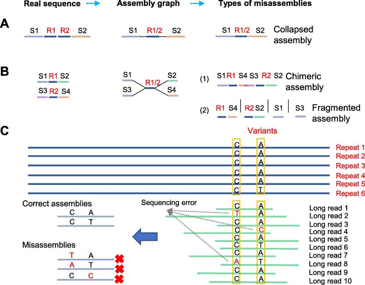 Recent Advances in Assembly of Complex Plant Genomes