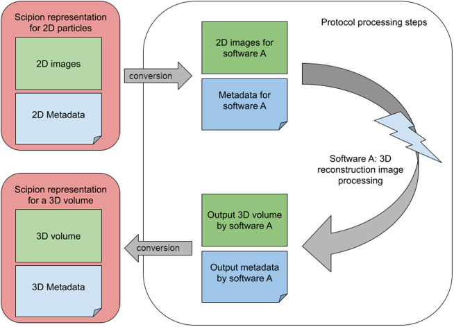 Scipion3: A workflow engine for cryo-electron microscopy image processing and structural biology.