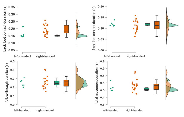 Kinematic differences between left- and right-handed cricket fast bowlers during the bowling action.