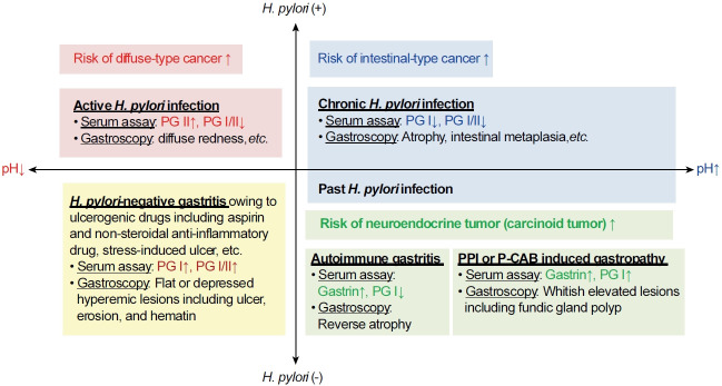 [Type A, Type B, and Non-atrophic Gastritis].