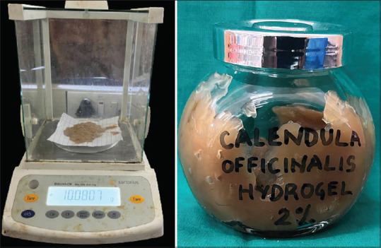 Evaluation of Antimicrobial Efficacy and Osteogenic Potential of Titanium Coated with Hydrogel of <i>Calendula officinalis</i>: An <i>in Vitro</i> Study.