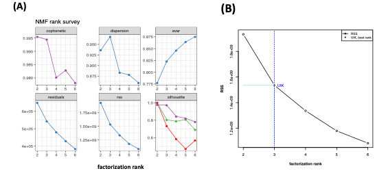 Decision of the Optimal Rank of a Nonnegative Matrix Factorization Model for Gene Expression Data Sets Utilizing the Unit Invariant Knee Method: Development and Evaluation of the Elbow Method for Rank Selection.