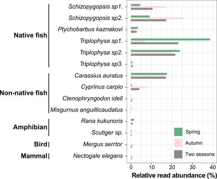 Eurasian otters prefer to prey on religious released non-native fish on the Qinghai-Tibetan Plateau.