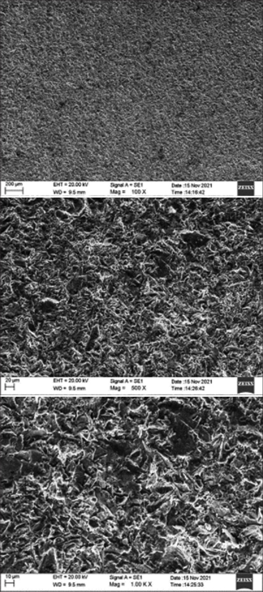 Evaluation of Antimicrobial Efficacy and Osteogenic Potential of Titanium Coated with Hydrogel of <i>Calendula officinalis</i>: An <i>in Vitro</i> Study.