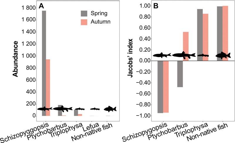 Eurasian otters prefer to prey on religious released non-native fish on the Qinghai-Tibetan Plateau.