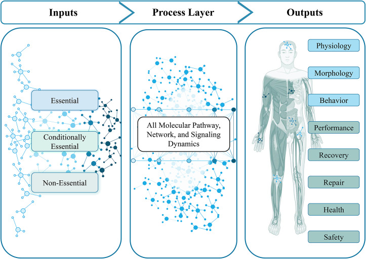 Optimizing human performance in extreme environments through precision medicine: From spaceflight to high-performance operations on Earth.
