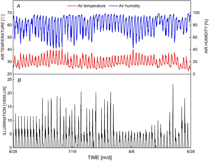Influence of nitrogen and phosphorus additions on parameters of photosynthesis and chlorophyll fluorescence in <i>Cyclocarya paliurus</i> seedlings.