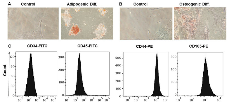 The Effect of Lipopolysaccharide-Stimulated Adipose-Derived Mesenchymal Stem Cells on NAFLD Treatment in High-Fat Diet-Fed Rats.