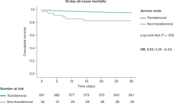 [Transcatheter aortic valve implantation via percutaneous alternative access routes: outcomes].