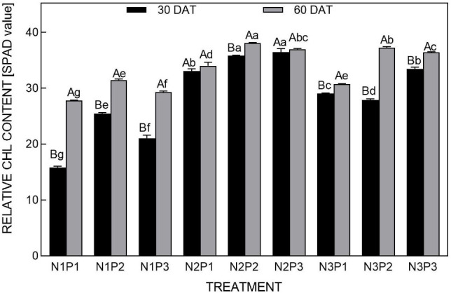 Influence of nitrogen and phosphorus additions on parameters of photosynthesis and chlorophyll fluorescence in <i>Cyclocarya paliurus</i> seedlings.