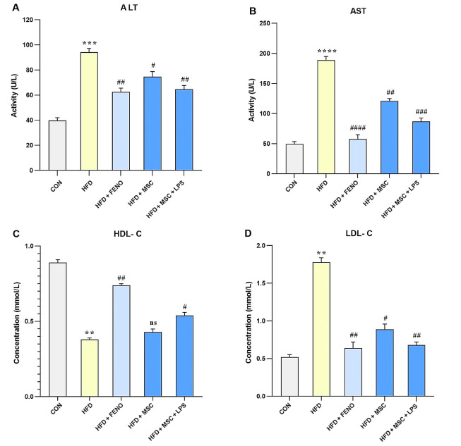 The Effect of Lipopolysaccharide-Stimulated Adipose-Derived Mesenchymal Stem Cells on NAFLD Treatment in High-Fat Diet-Fed Rats.