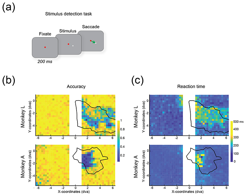 Chronic stability of a neuroprosthesis comprising multiple adjacent Utah arrays in monkeys.