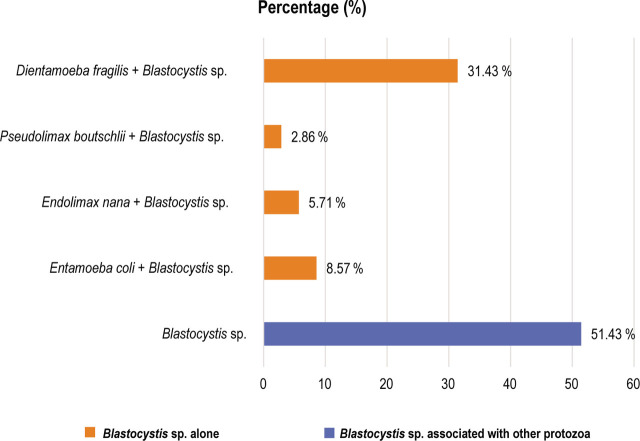 Prevalence of <i>Blastocystis</i> sp. among cooks in the region of Fez-Meknes (Morocco).