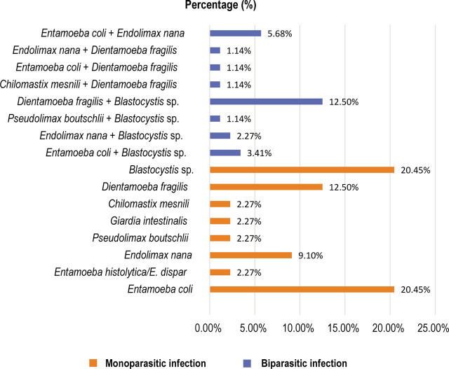 Prevalence of <i>Blastocystis</i> sp. among cooks in the region of Fez-Meknes (Morocco).
