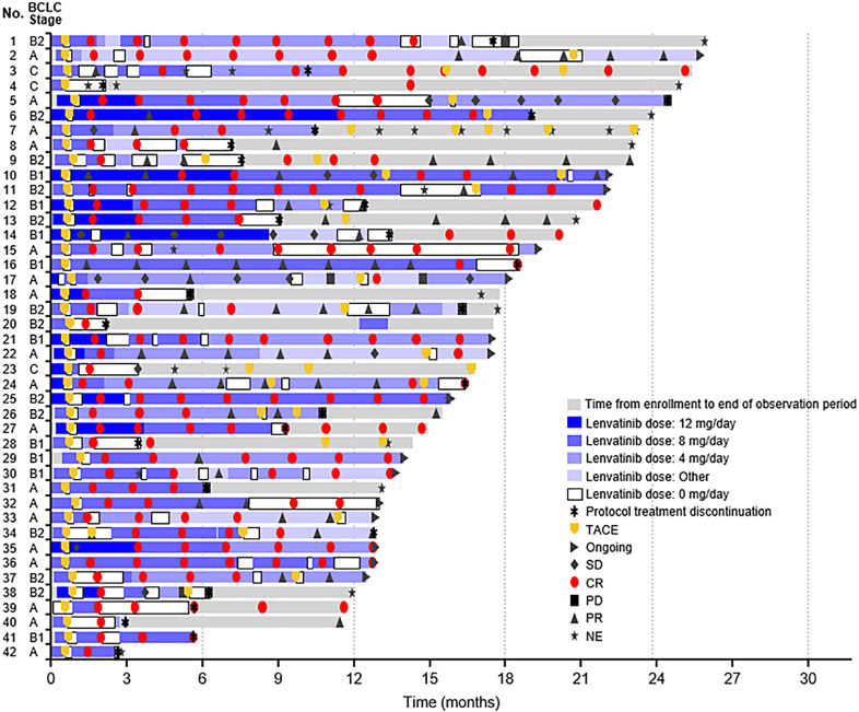 A Phase 2, Prospective, Multicenter, Single-Arm Trial of Transarterial Chemoembolization Therapy in Combination Strategy with Lenvatinib in Patients with Unresectable Intermediate-Stage Hepatocellular Carcinoma: TACTICS-L Trial.