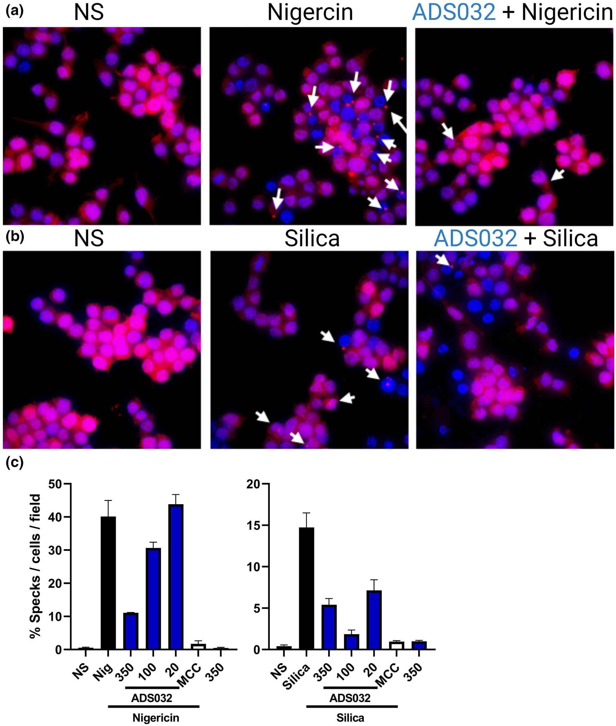 A novel dual NLRP1 and NLRP3 inflammasome inhibitor for the treatment of inflammatory diseases