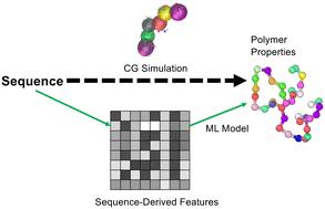 Data-driven models for predicting intrinsically disordered protein polymer physics directly from composition or sequence†