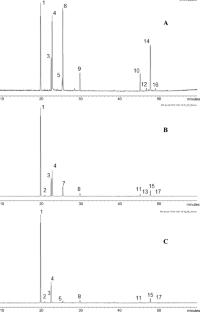 Attraction of Pissodes castaneus (Coleoptera, Curculionidae) to Pinus taeda: laboratory and field evaluation