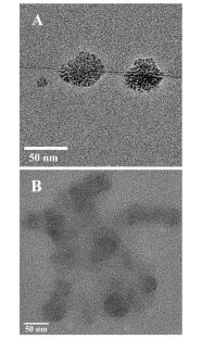 Rapid and sensitive determination of histamine based on a fluorescent aptamer probe with analogue on carbonized polymer dots