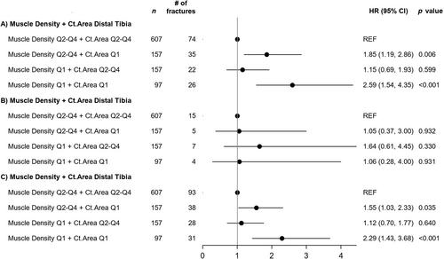 Interactions Between HR-pQCT Bone Density and D3Cr Muscle Mass (or HR-pQCT Bone Structure and HR-pQCT Muscle Density) in Predicting Fractures: The Osteoporotic Fractures in Men Study