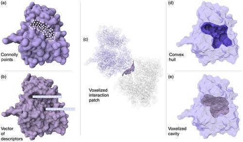 Ligandability and druggability assessment via machine learning