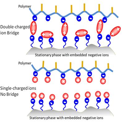 New mode of HPLC separation for multi-charged polymers, peptides, and proteins