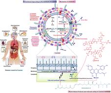 Natural products acting against S. aureus through membrane and cell wall disruption