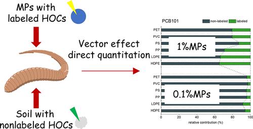 Use of a Dual-Labeled Bioaccumulation Method to Quantify Microplastic Vector Effects for Hydrophobic Organic Contaminants in Soil