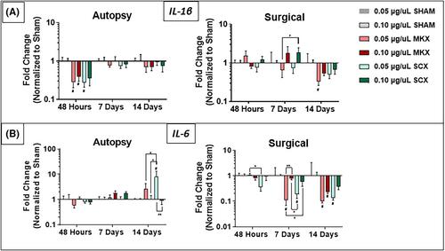 Nonviral overexpression of Scleraxis or Mohawk drives reprogramming of degenerate human annulus fibrosus cells from a diseased to a healthy phenotype