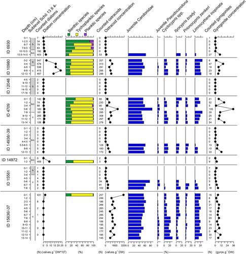 Spatial interpretation of high-resolution environmental proxy data of the Middle Pleistocene Palaeolithic faunal kill site Schöningen 13 II-4, Germany