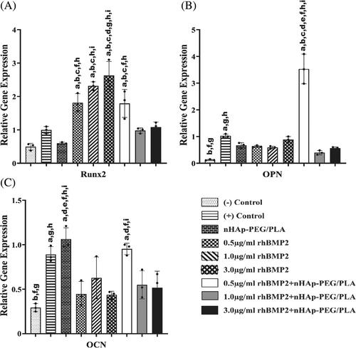 A pilot study: Nano-hydroxyapatite-PEG/PLA containing low dose rhBMP2 stimulates proliferation and osteogenic differentiation of human bone marrow derived mesenchymal stem cells