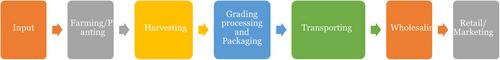 PROTOCOL: Value chain interventions for improving women's economic empowerment: A mixed-method systematic review