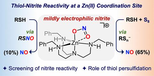 NO Generation from Nitrite at Zinc(II): Role of Thiol Persulfidation in the Presence of Sulfane Sulfur