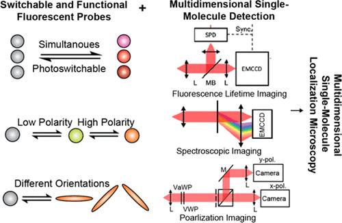 Switchable and Functional Fluorophores for Multidimensional Single-Molecule Localization Microscopy