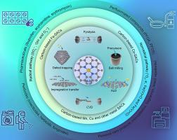 Carbon-based single-atom catalysts in advanced oxidation reactions for water remediation: From materials to reaction pathways