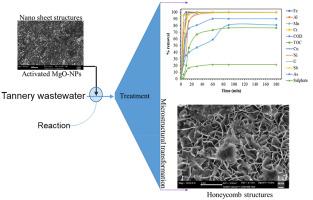 Treatment of real tannery wastewater using facile synthesized magnesium oxide nanoparticles: Experimental results and geochemical modeling