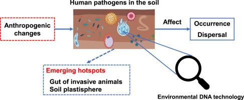 Human pathogens in the soil ecosystem: Occurrence, dispersal, and study method