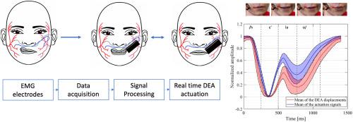 Real-time actuation of a dielectric elastomer actuator neuroprosthesis for facial paralysis