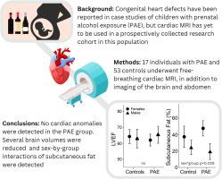 Cardiac Magnetic Resonance Imaging in Individuals With Prenatal Alcohol Exposure