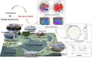 The fate of antibiotic resistance genes in the coastal lagoon with multiple functional zones