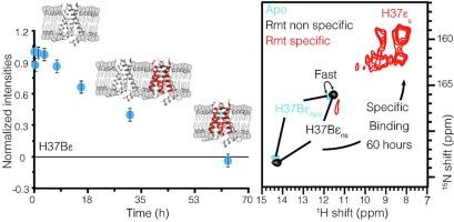 Real-time tracking of drug binding to influenza A M2 reveals a high energy barrier