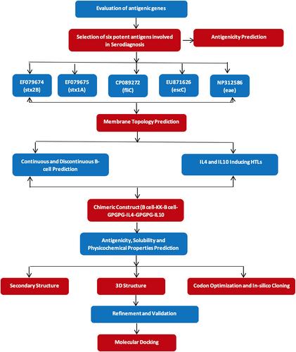 Immunoinformatics aided design of a peptide-based kit for detecting Escherichia coli O157:H7 from food sources