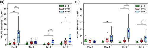 Morphological and physiological impacts of salinity on colonial strains of the cyanobacteria Microcystis aeruginosa