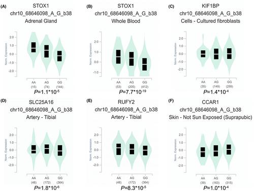 Functional polymorphisms of the TET1 gene increase the risk of neuroblastoma in Chinese children