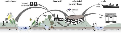 A policy and research agenda for Asia's poultry industry